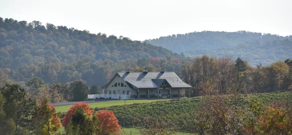 Buck’s Valley Winery & Vineyards.