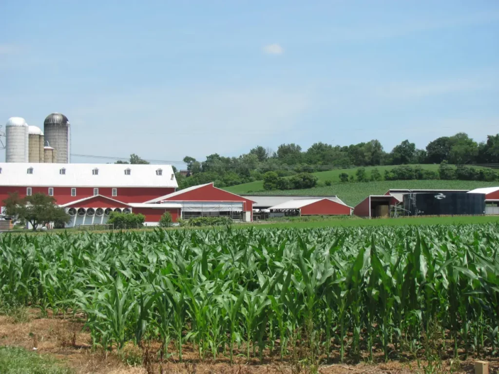 Fox Meadows Creamery.